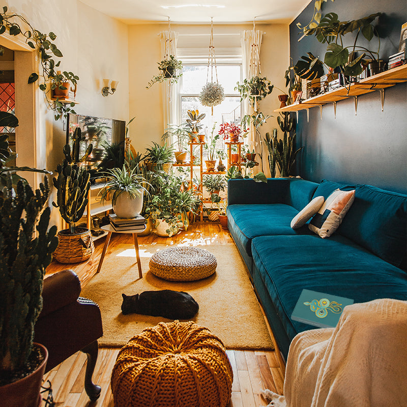 Wellness is a Practice